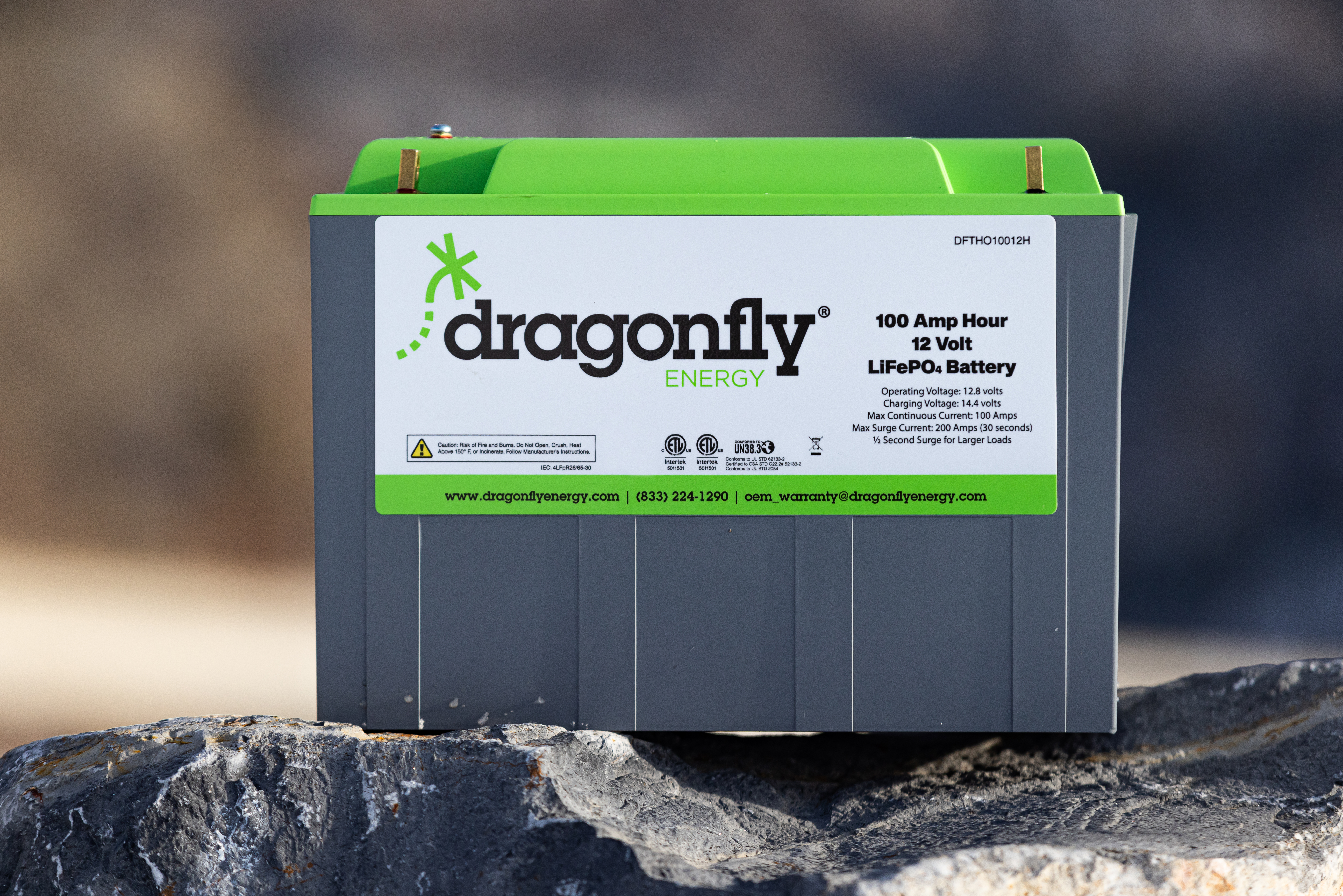 Dragonfly Energy lithium battery