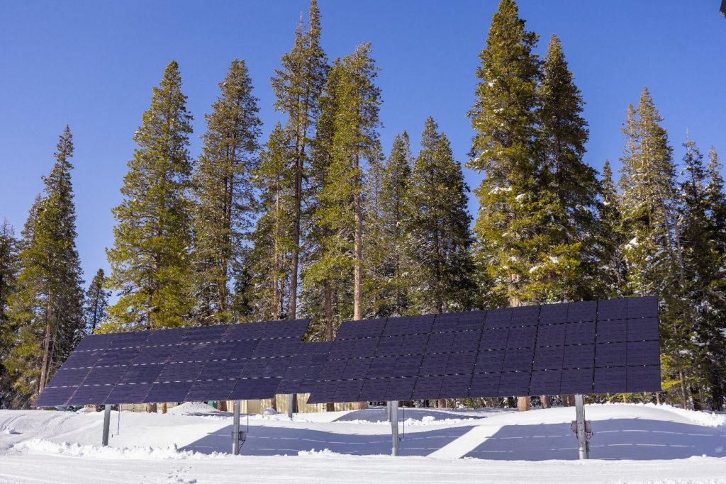 Solar panels in the sun with pine trees behind and snow below