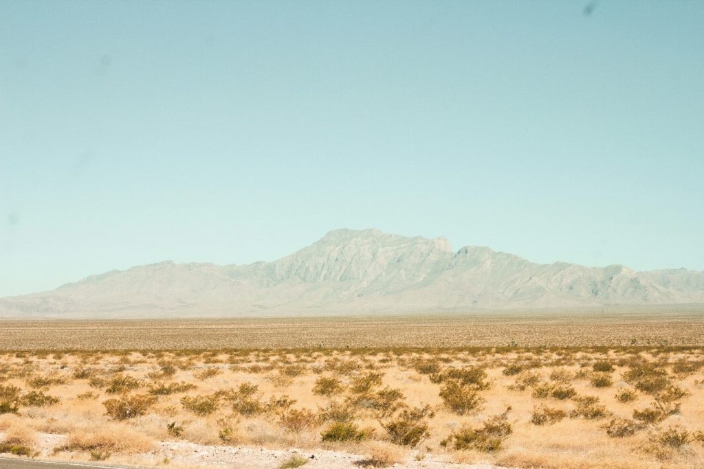 Nevada desert landscape with sage brush and a mountain in the background