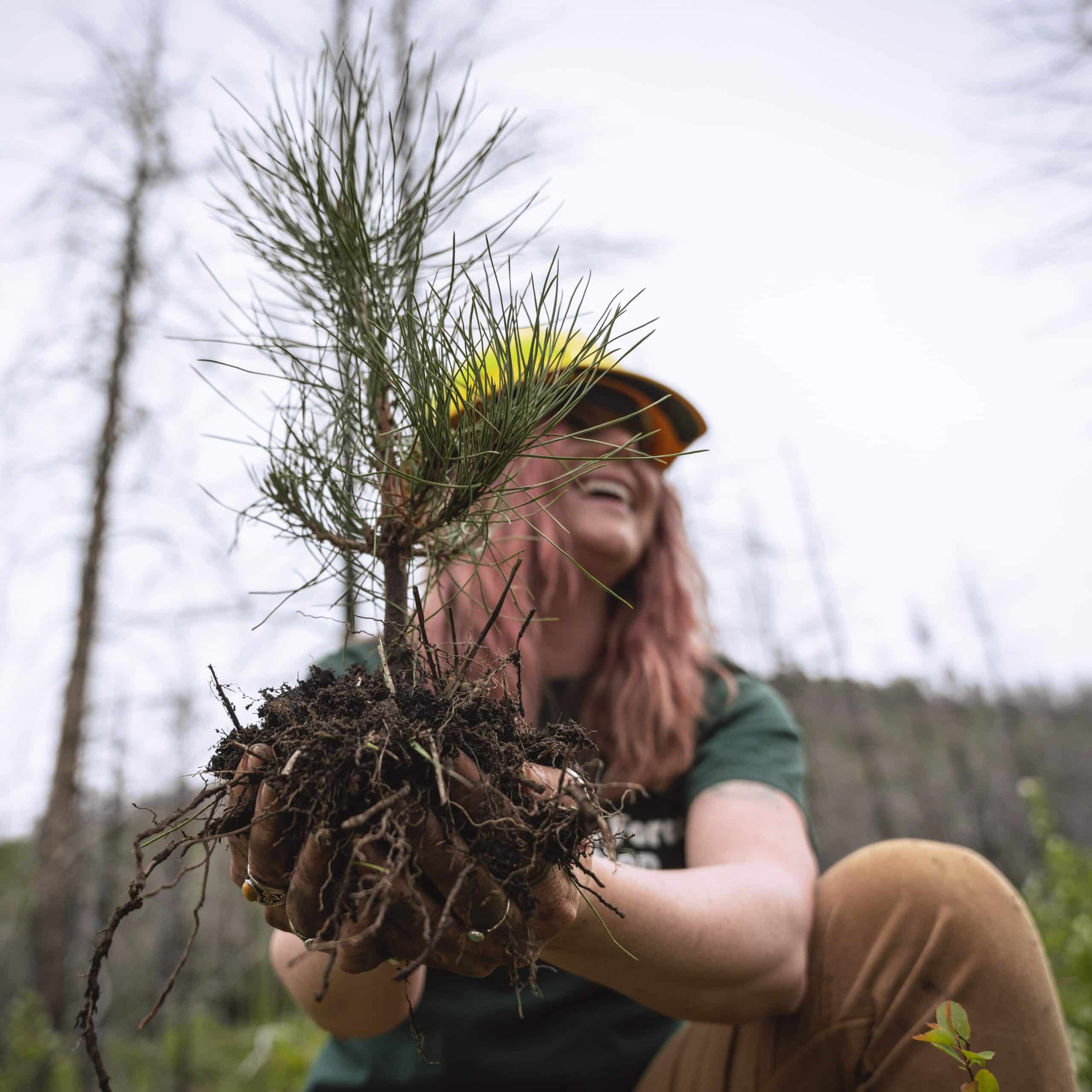 National Forest Foundation